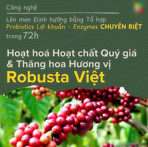 Robusta Lab